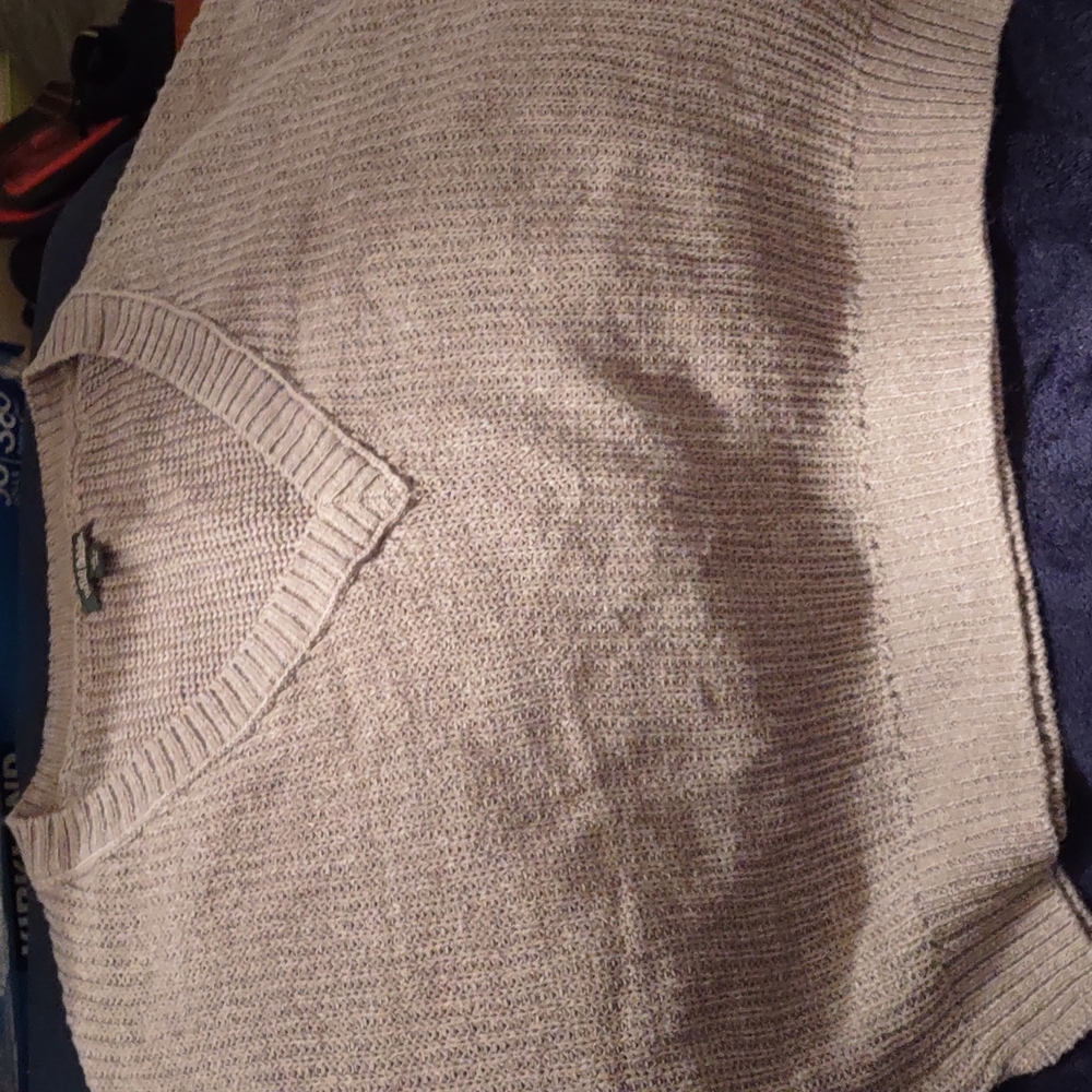A cropped sweatshirt